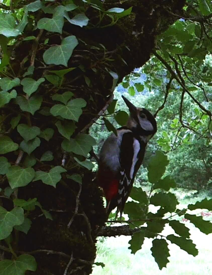 Parque Natural de Izki: Un Refugio Ecológico en Álava